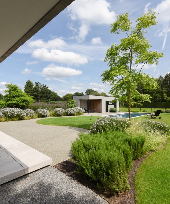 moderne tuin met zwembad
