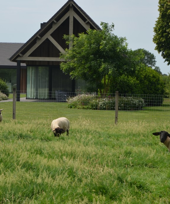 landelijke tuin bij moderne woning