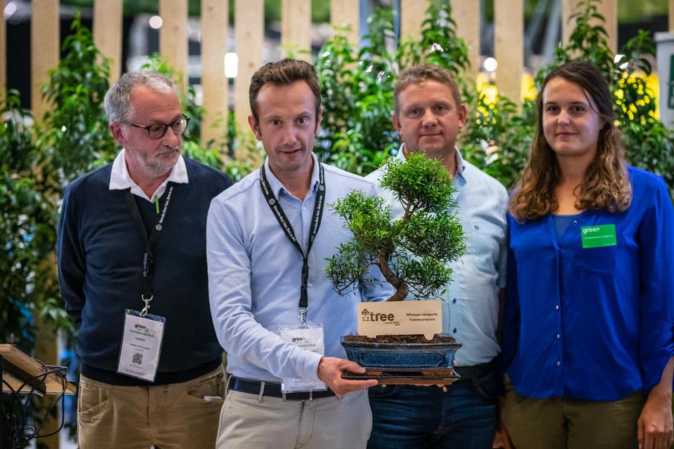 tree award