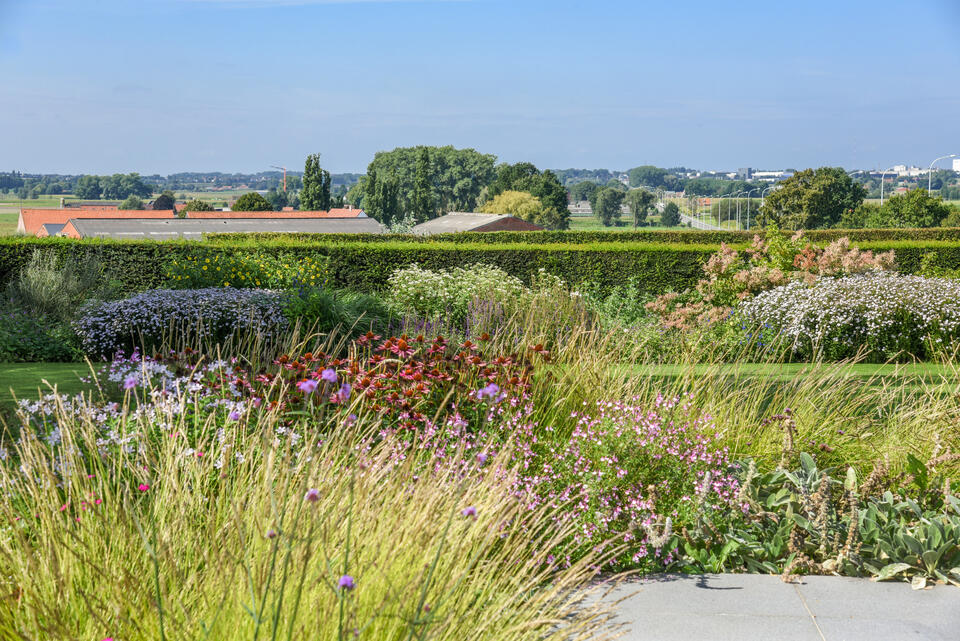 bloemenborder