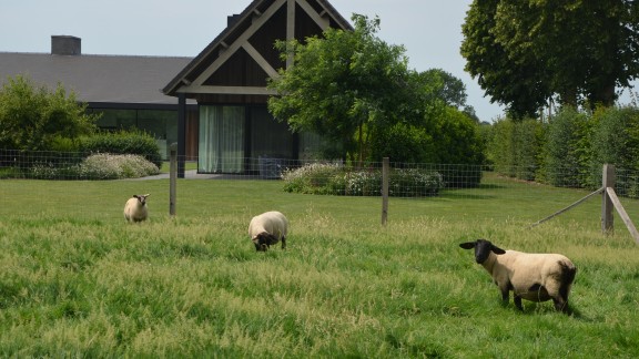 landelijke tuin bij moderne woning