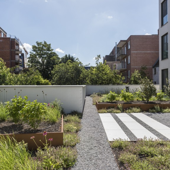daktuin