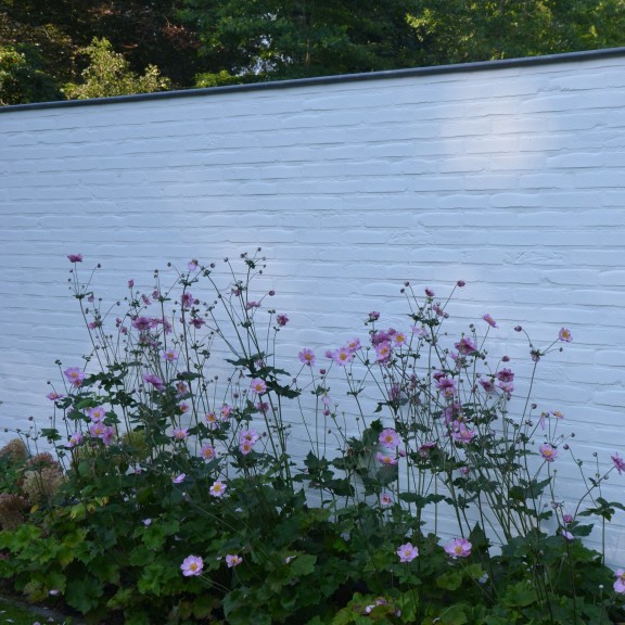 hedendaagse tuin