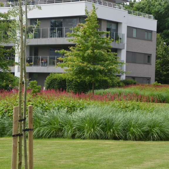 park bij meergezinswoningen