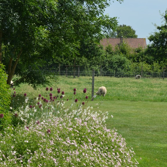 landelijke tuin bij moderne woning