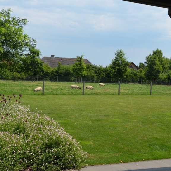 landelijke tuin bij moderne woning