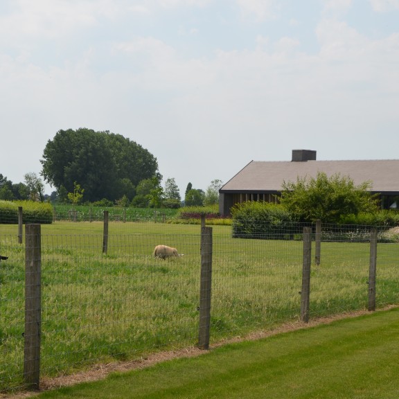 landelijke tuin bij moderne woning