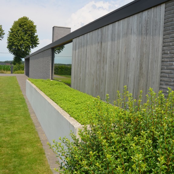 hedendaagse tuin