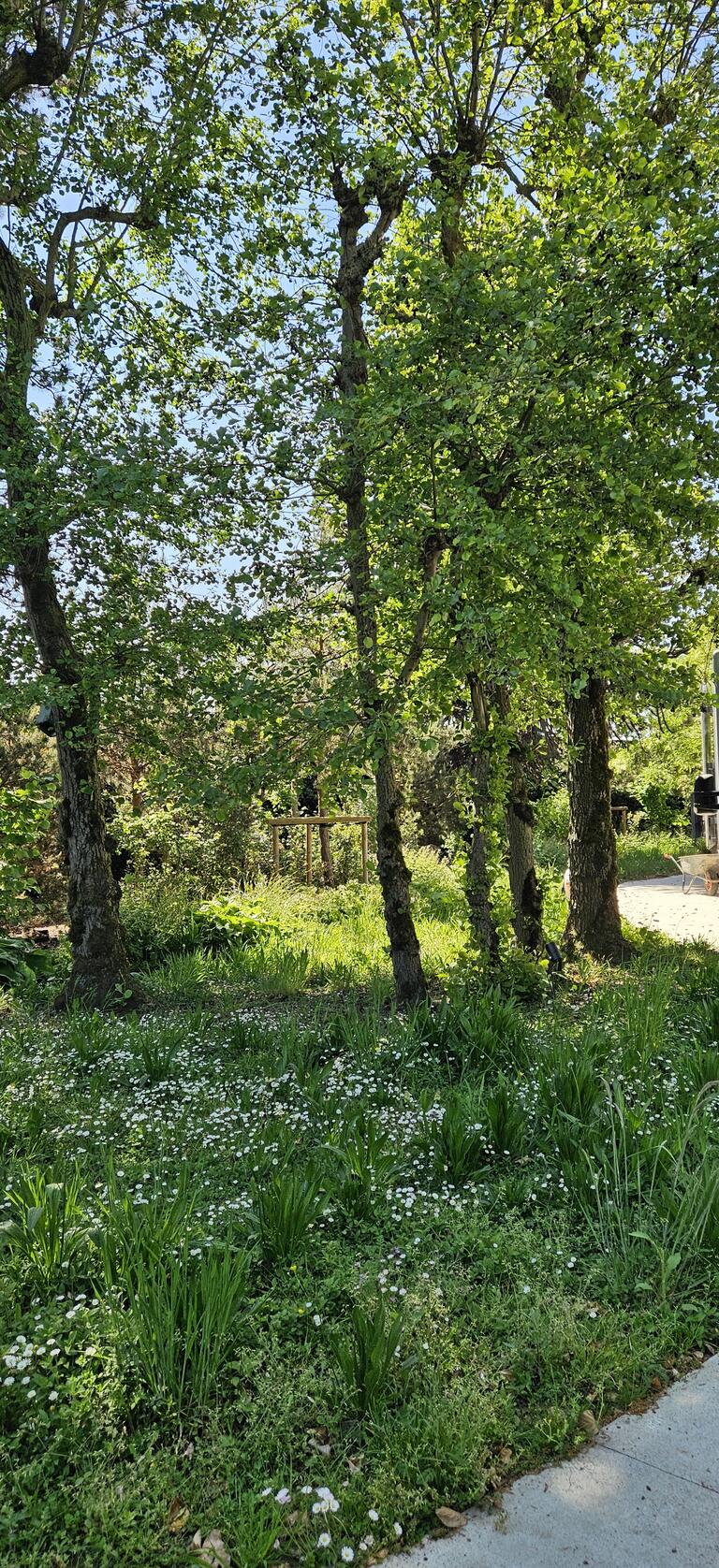 landelijke tuin